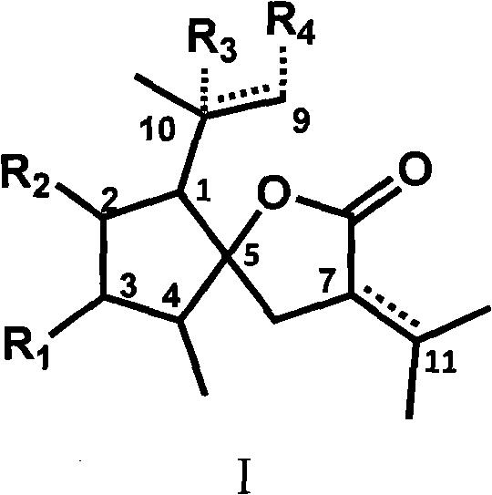 Curcumolide-like derivatives with antitumor activity and preparation method thereof