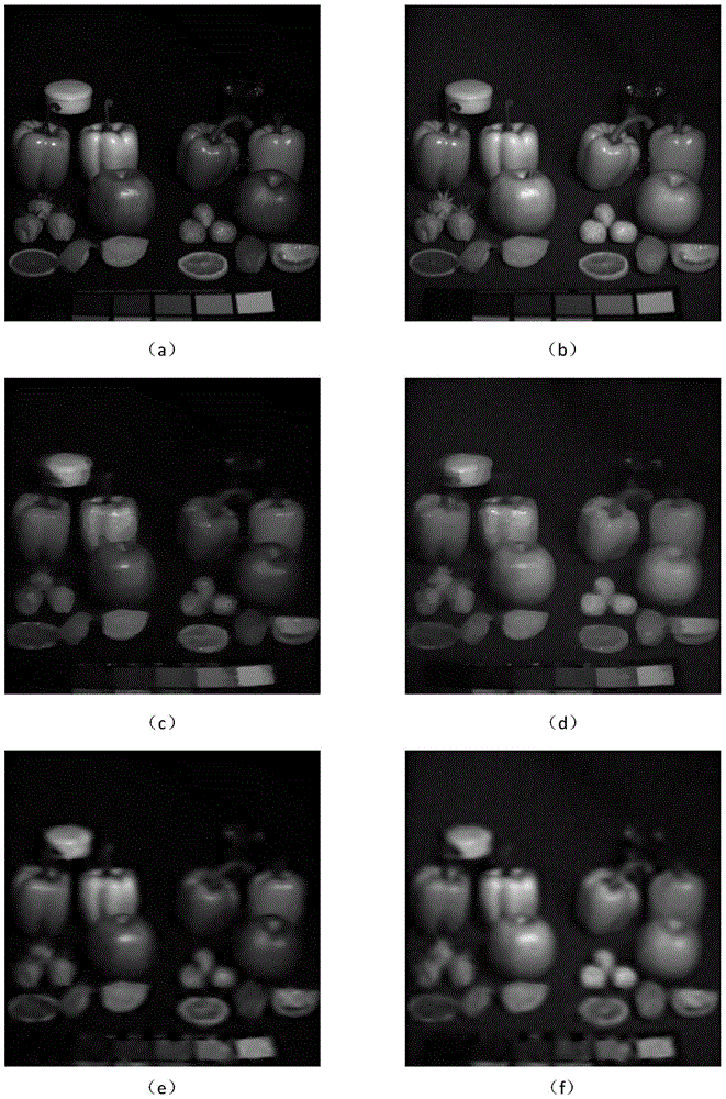 Multispectral Image Reconstruction Method Based on Dual-tree Complex Wavelet Transform