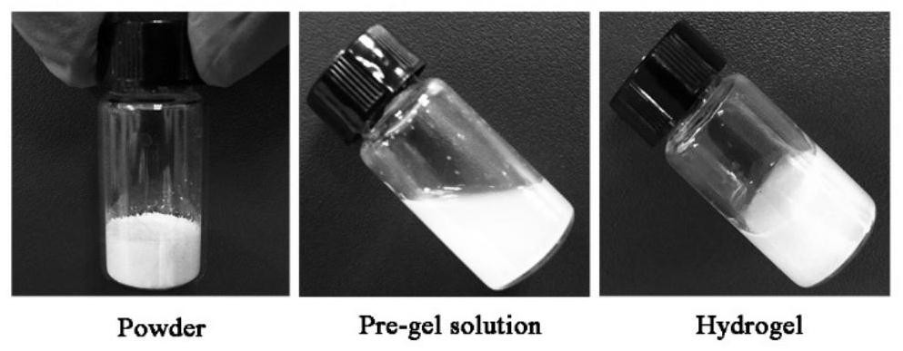 Preparation method of acellular periosteum matrix gel material derived from natural tissue