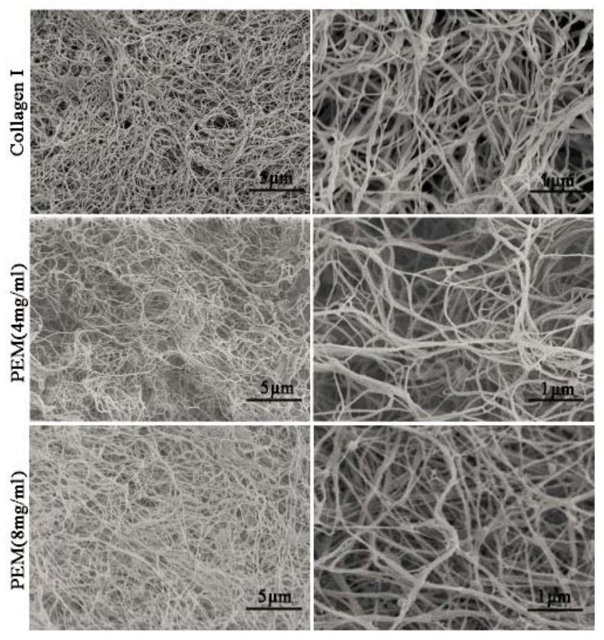 Preparation method of acellular periosteum matrix gel material derived from natural tissue