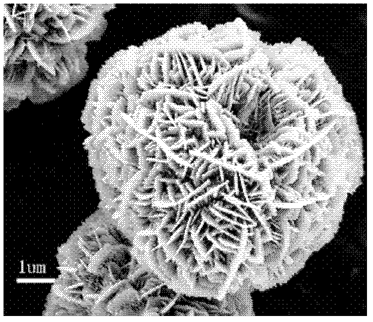 Preparation method of zinc oxide microsphere with nanoflower-shaped microstructure