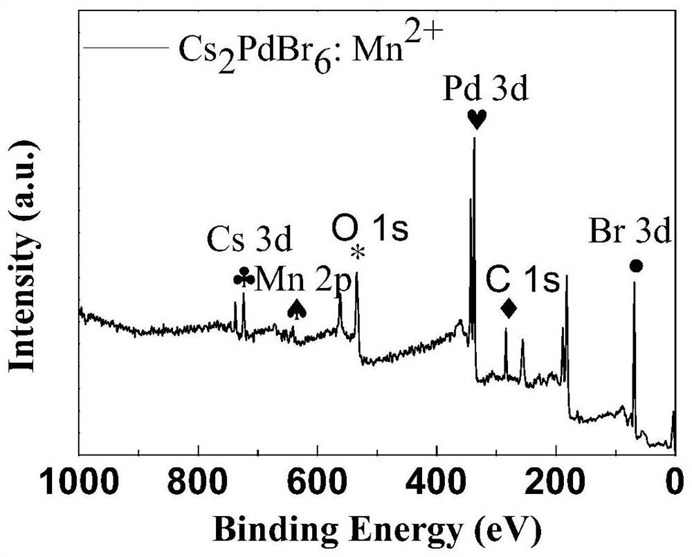 Near-infrared absorption perovskite nano material, preparation method and application thereof