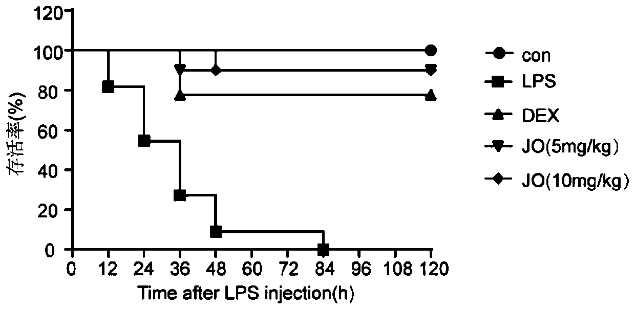 Application of Jasurolignoside in production of medicine for treating and/or preventing lung injuries