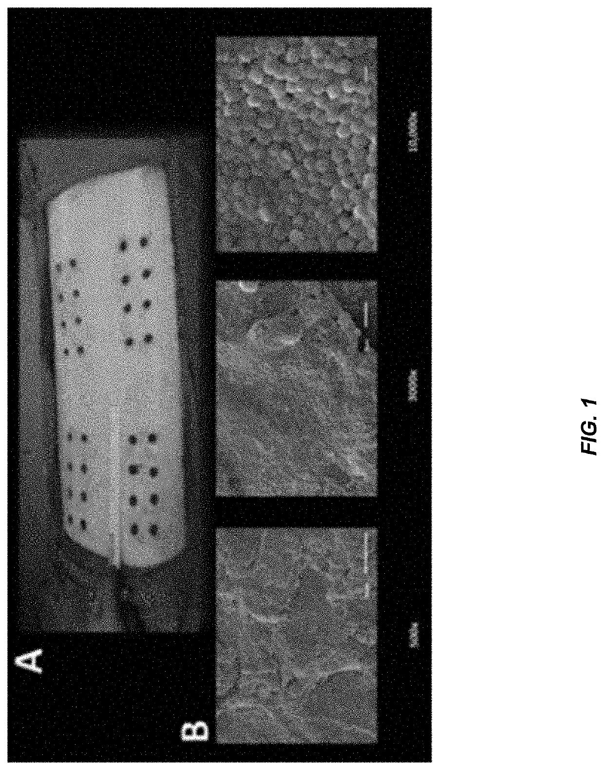 Compositions and methods comprising a triaryl polyamine