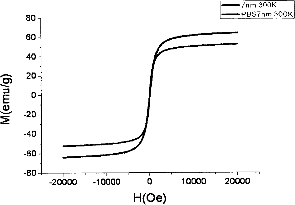 Method for preparing water-soluble nanometer iron oxide