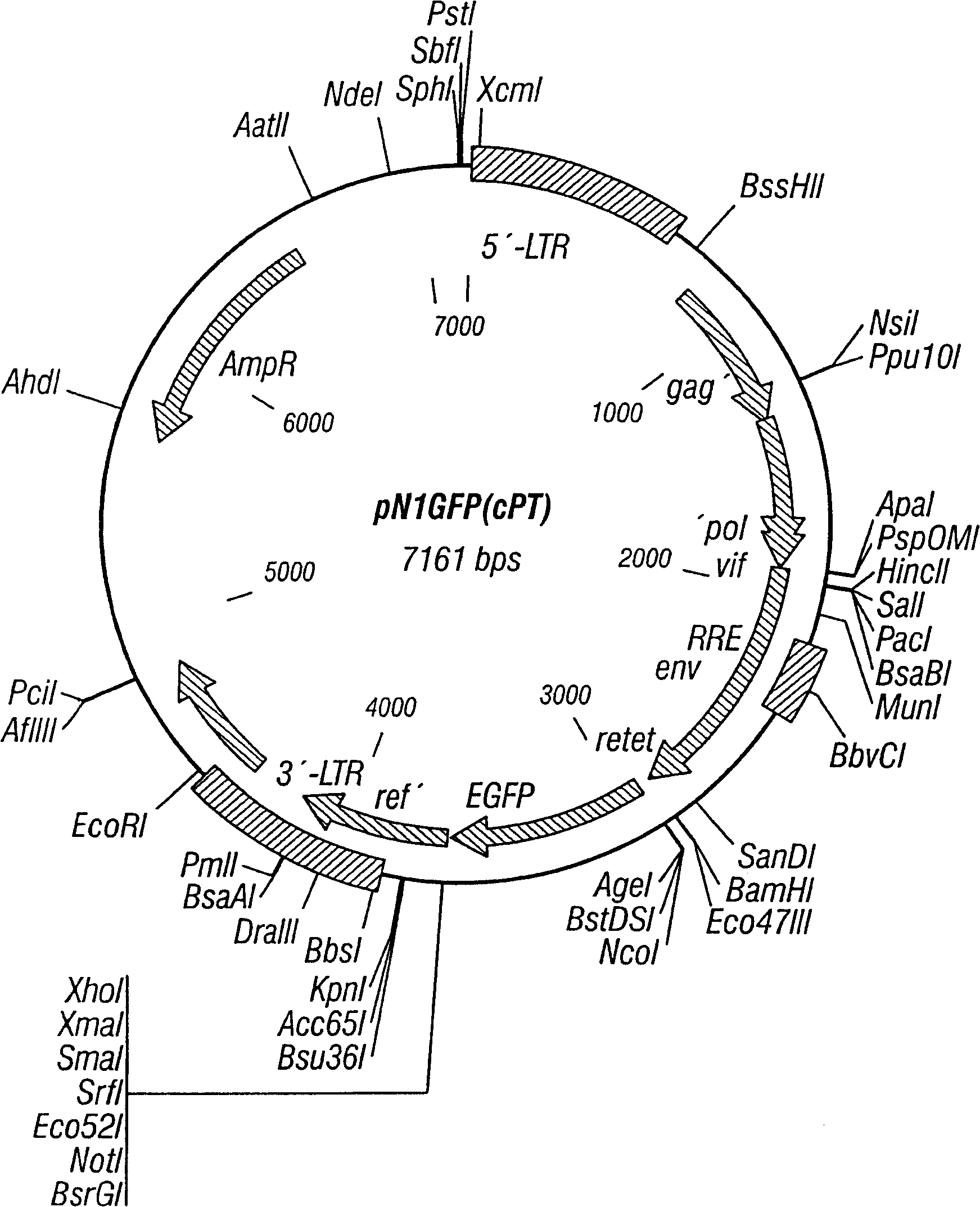 Methods for stable transduction of cells with viral vectors