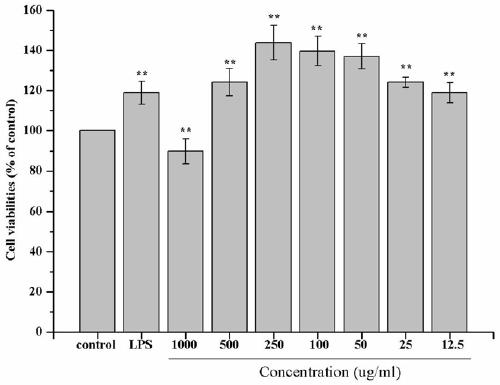 Application of sturgeon protein peptide to preparation of immunomodulatory preparation