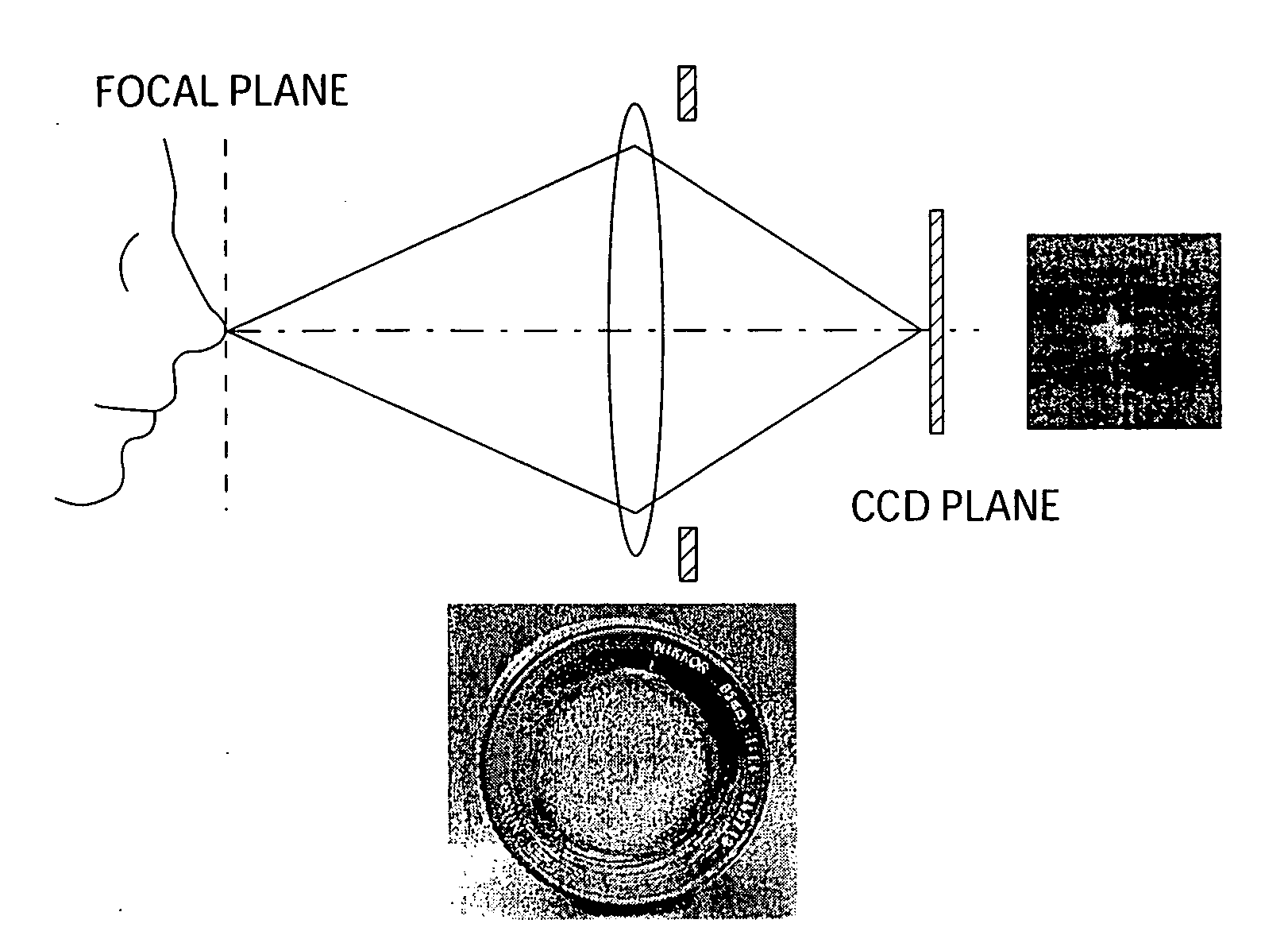 Methods and apparatus for 3D surface imaging using active wave-front sampling