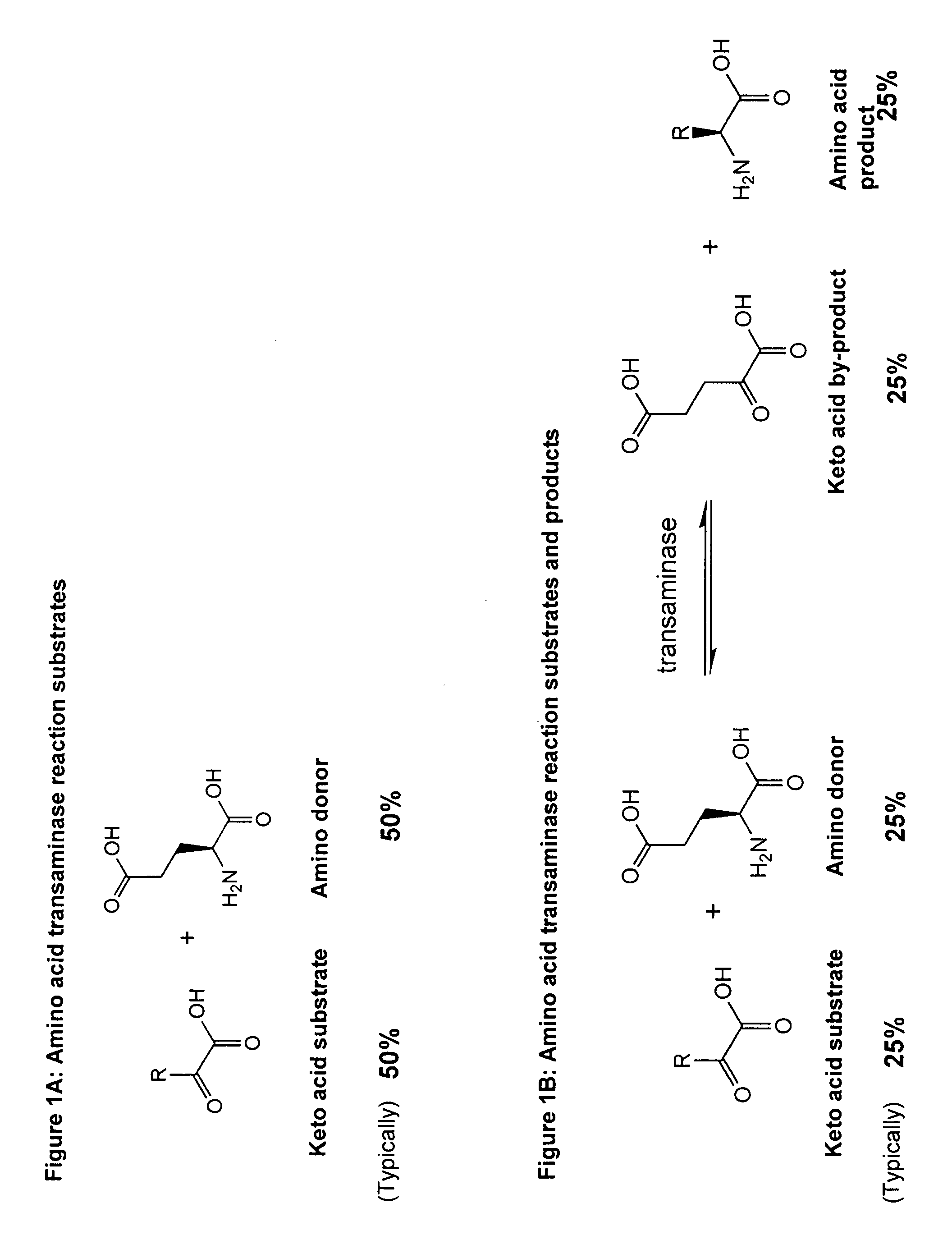 Method to increase the yield and improve purification of products from transaminase reactions