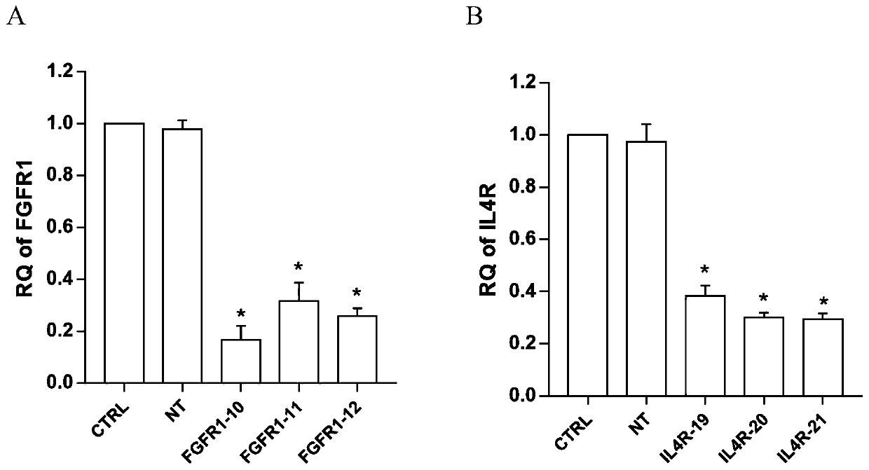 Application of fibroblast growth factor receptor 1 to preparation of medicines for preventing and treating enterovirus 71 type infection