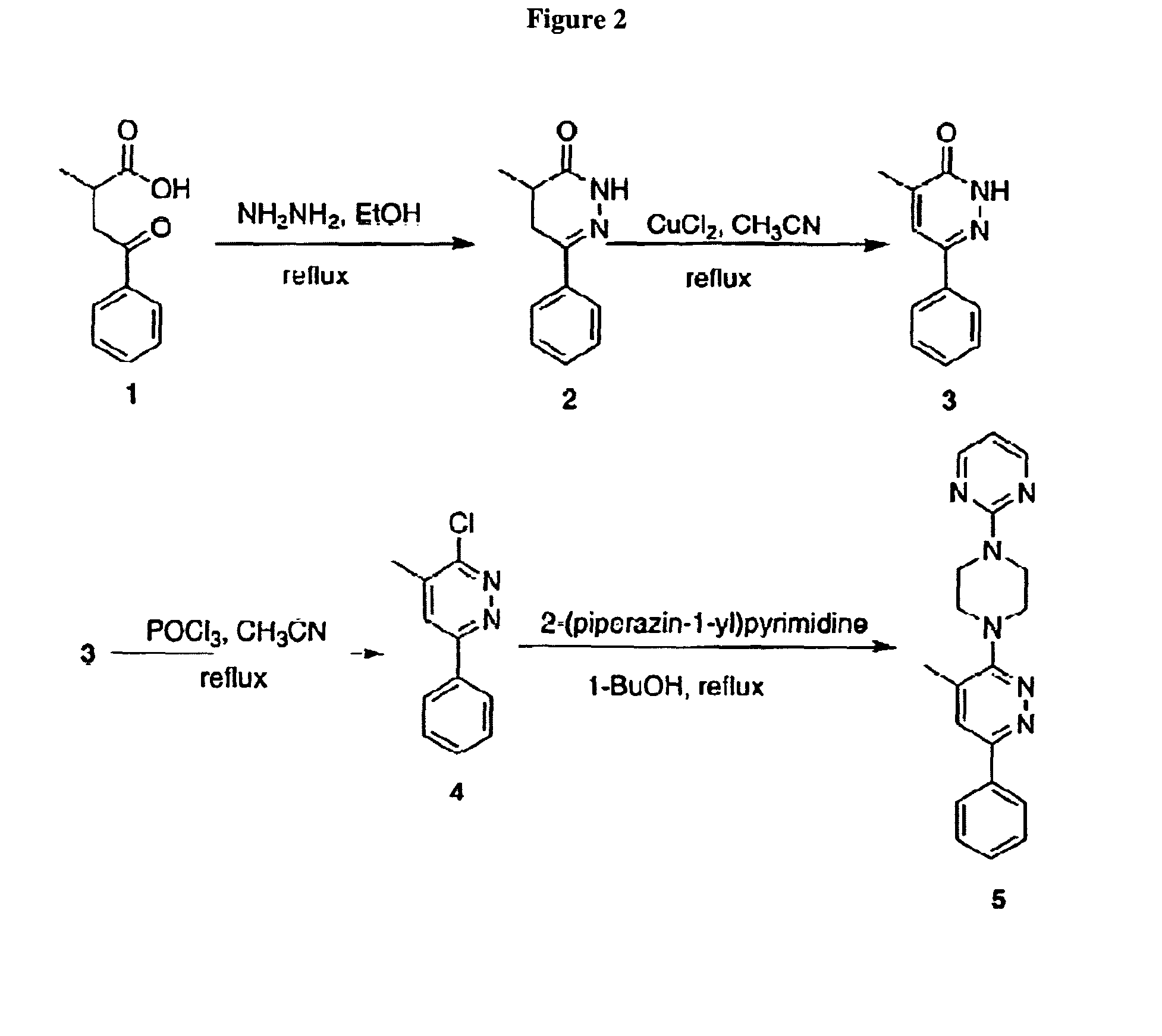 Compositions and treatments using pyridazine compounds and cholinesterase inhibitors
