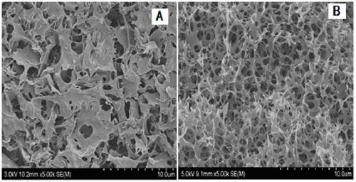 Photo-curable silk fibroin hydrogel and preparation method thereof