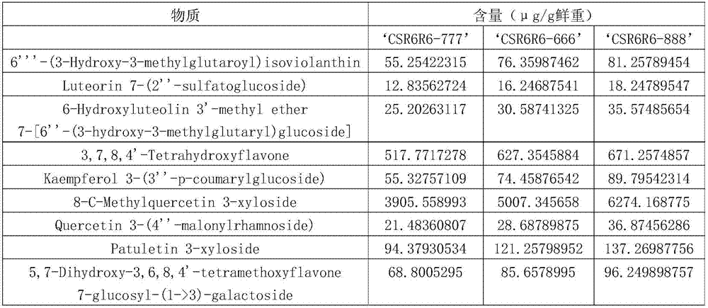 Dry and high type high flavonoid apple wine and preparation method thereof
