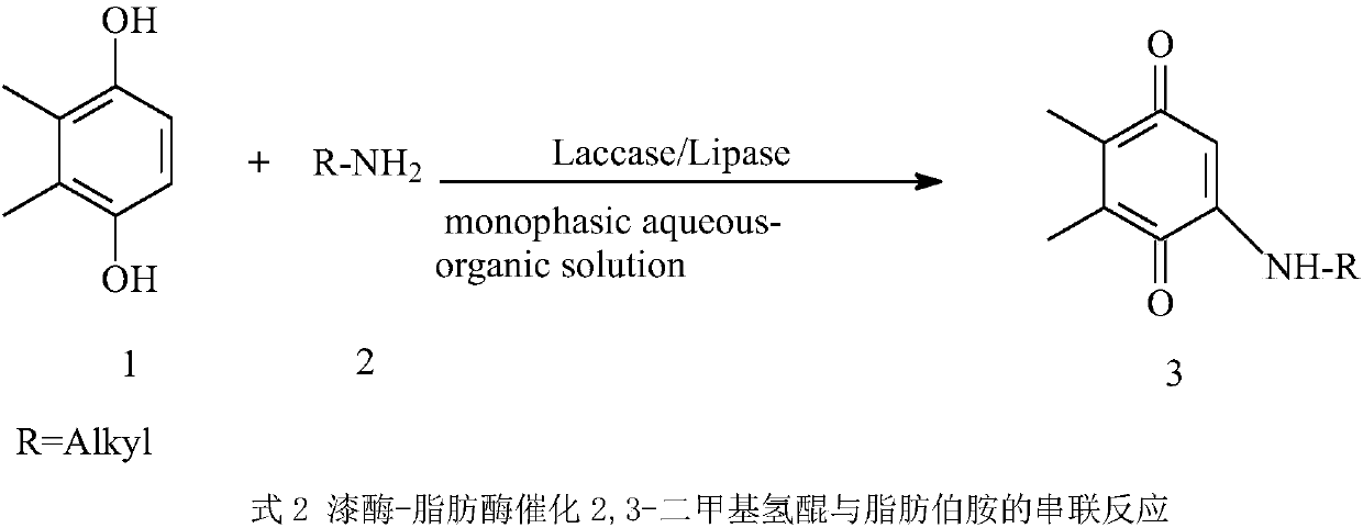 Double-enzyme one-pot synthesis method of 2,3-dimethyl-5alkylamino-1,4-benzoquinone