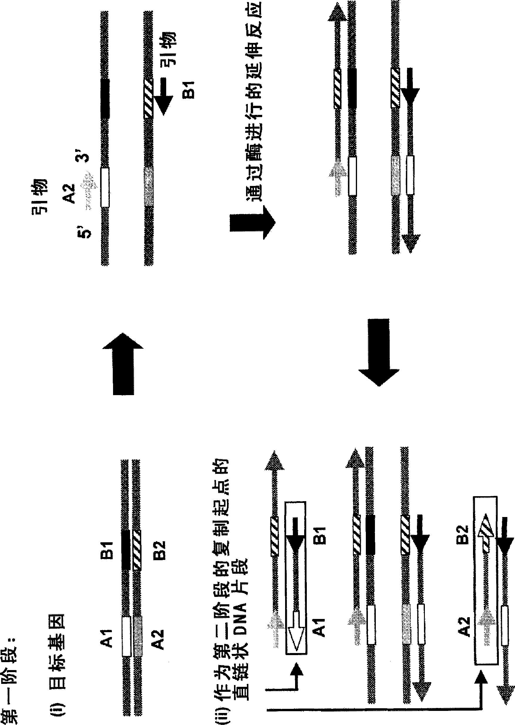 Nucleic acid amplification method