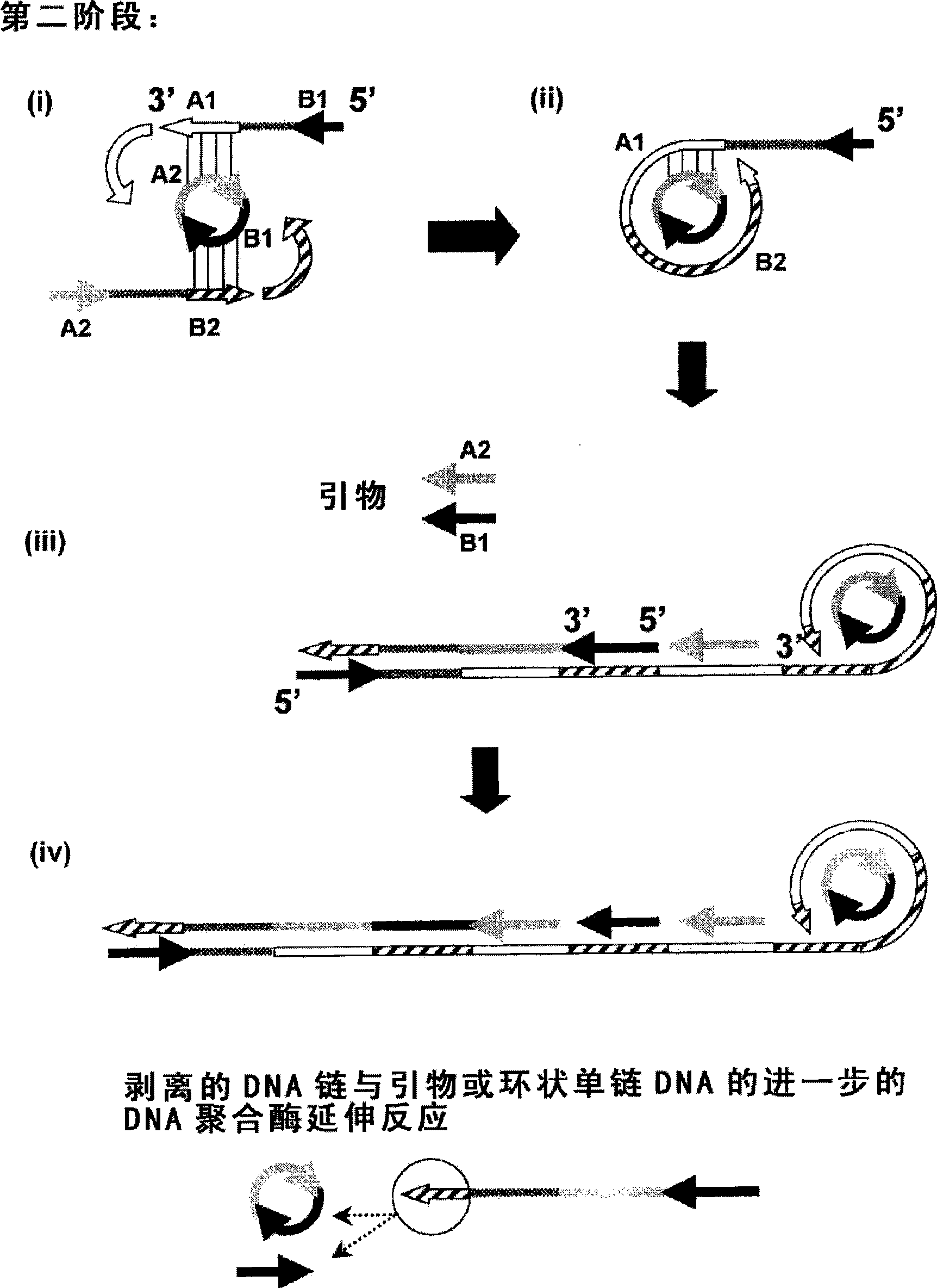 Nucleic acid amplification method