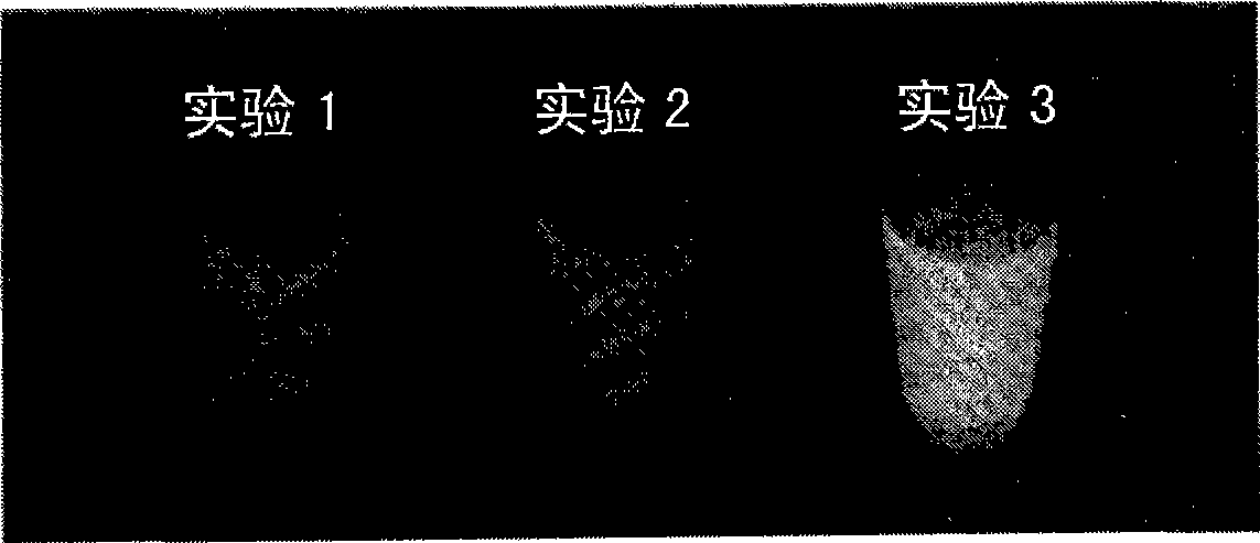 Nucleic acid amplification method