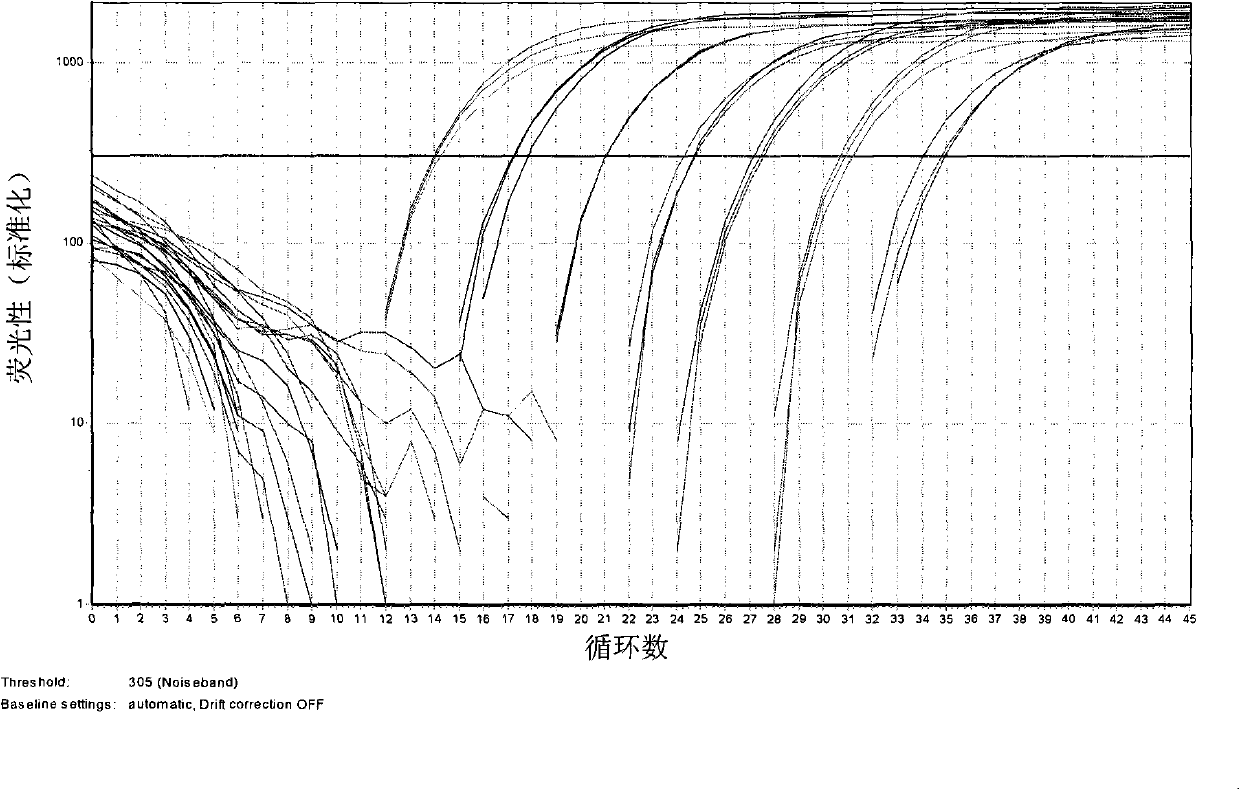 Kit and method for identifying and detecting Cordyceps sinensis