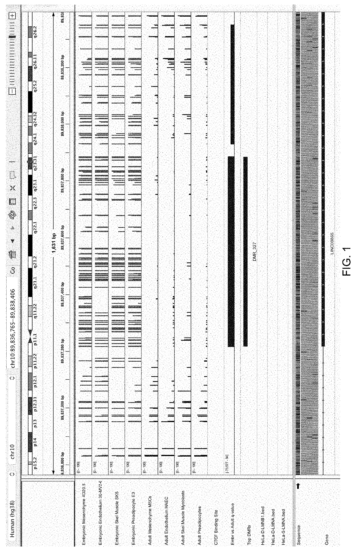 Differentially-methylated regions of the genome useful as markers of embryo-adult transitions