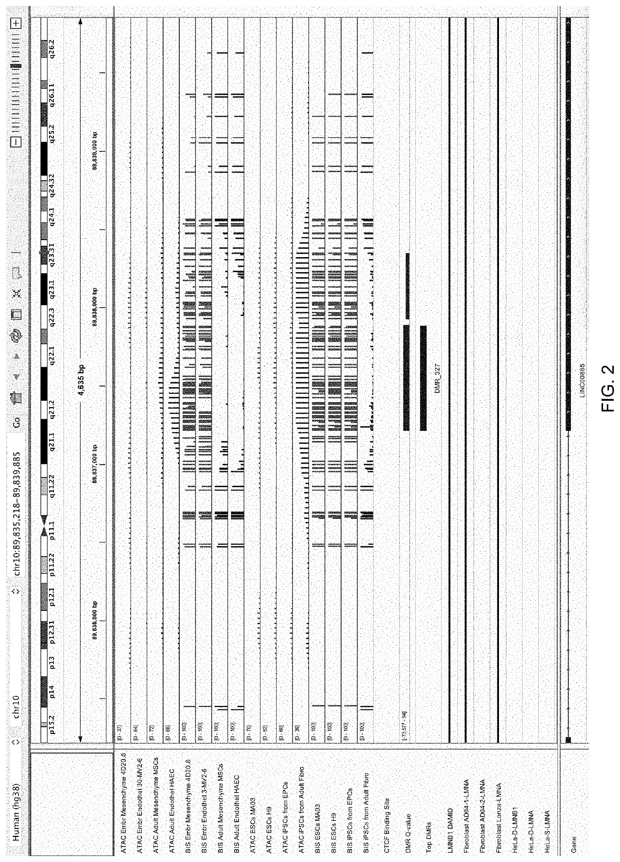 Differentially-methylated regions of the genome useful as markers of embryo-adult transitions