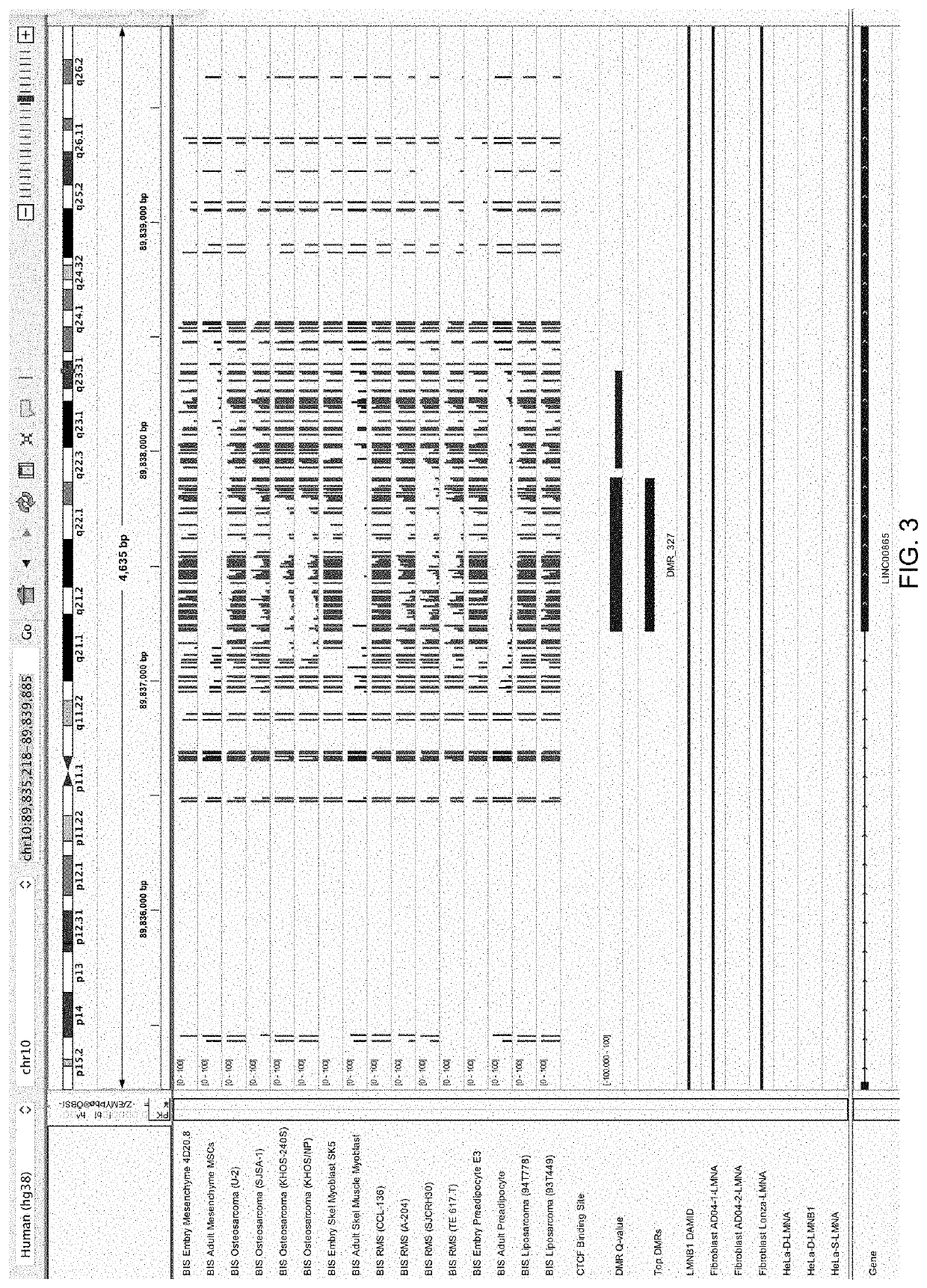 Differentially-methylated regions of the genome useful as markers of embryo-adult transitions