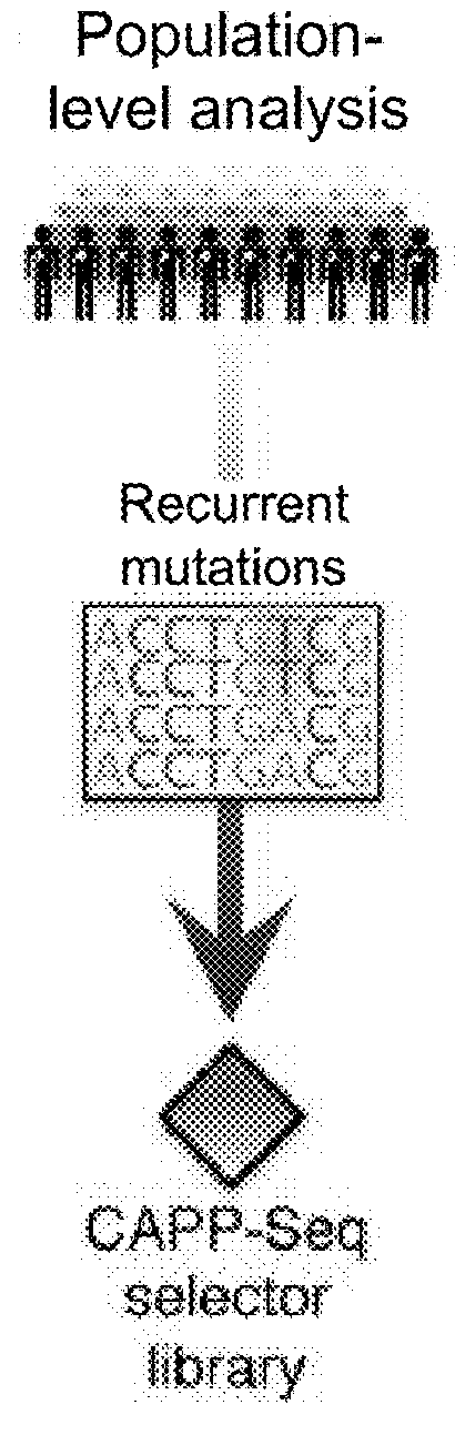 Identification and use of circulating nucleic acid tumor markers
