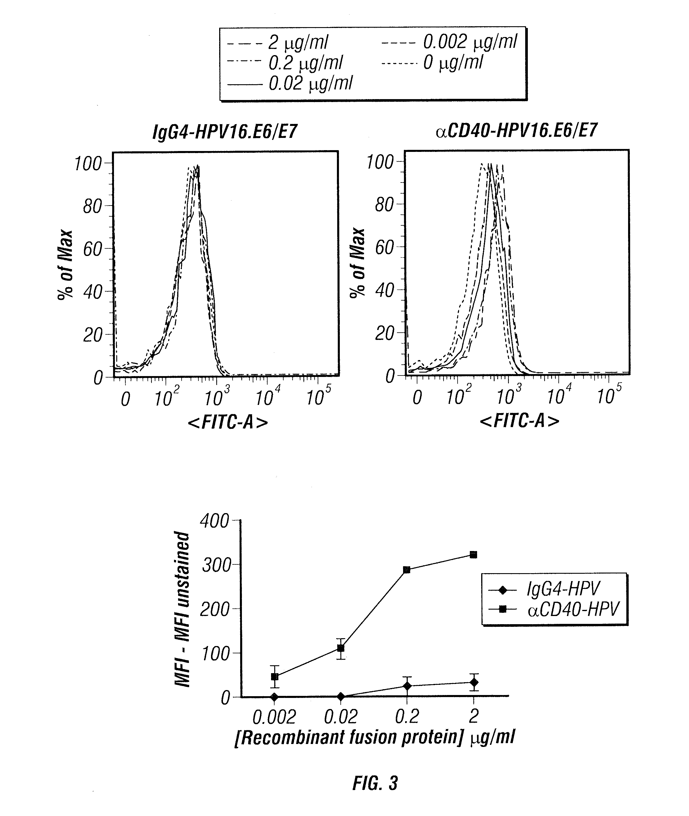 Novel vaccines against HPV and HPV-related diseases