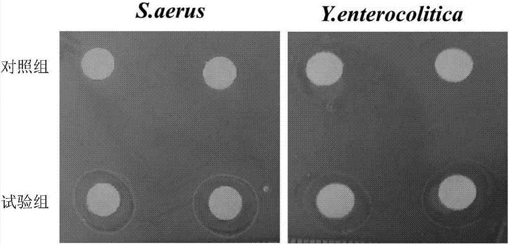 Separated endogenous antimicrobial polypeptides and application thereof