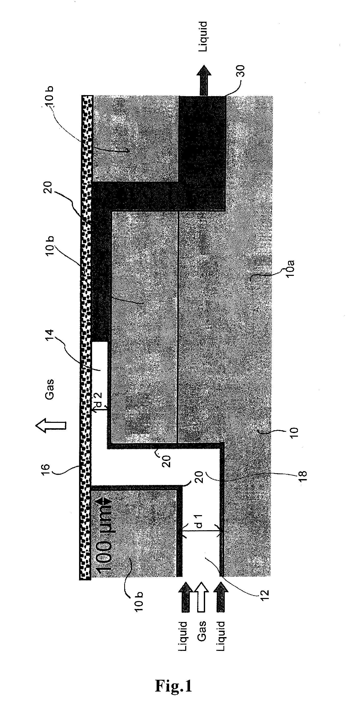 Microchannel chip and method for gas-liquid phase separation using same