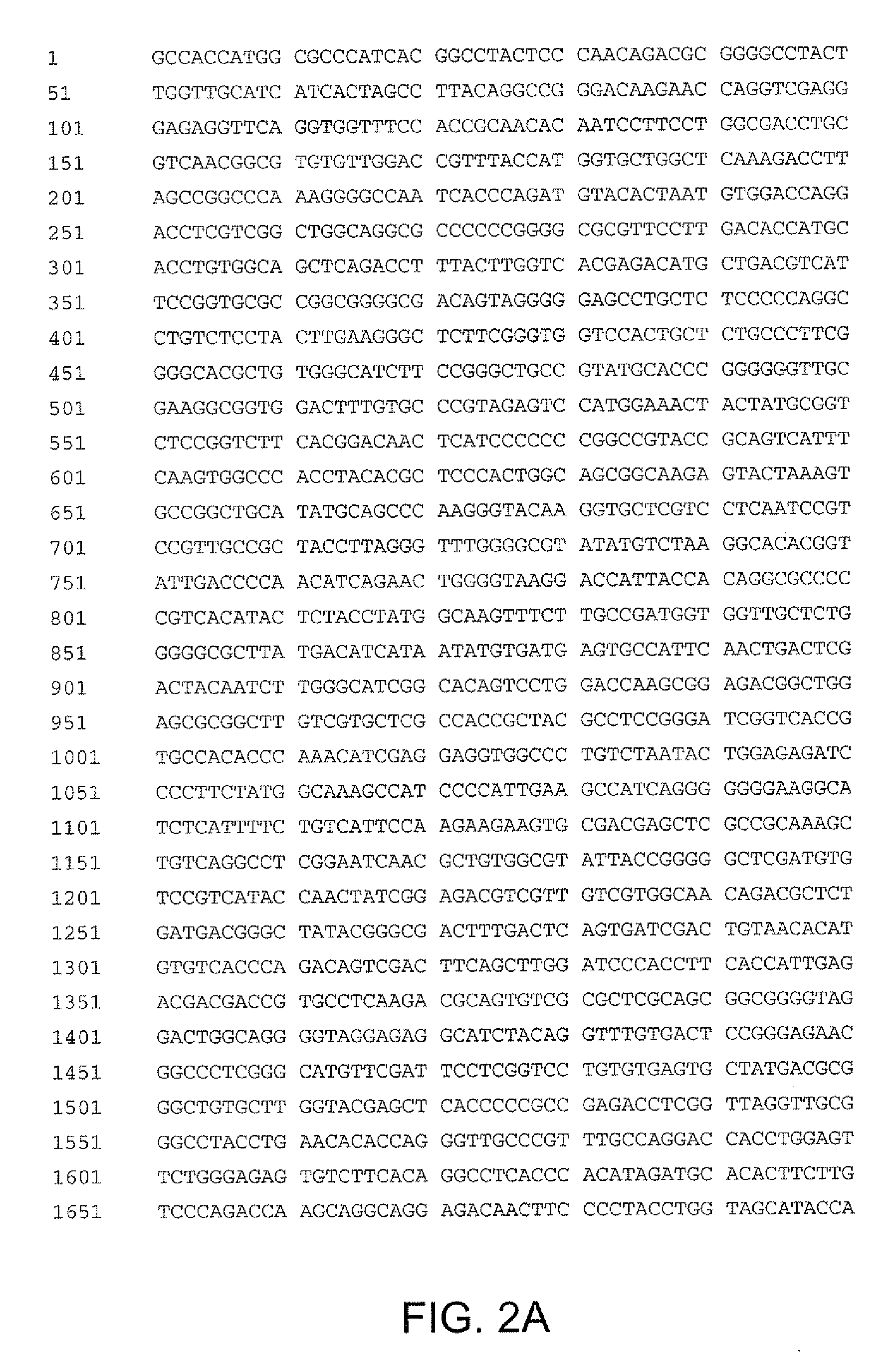 Hepatitis c virus vaccine