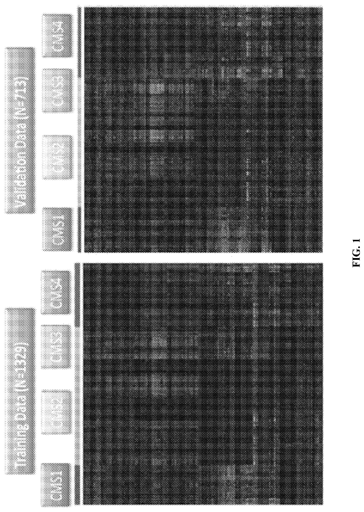 Colorectal cancer consensus molecular subtype classifier codesets and methods of use thereof