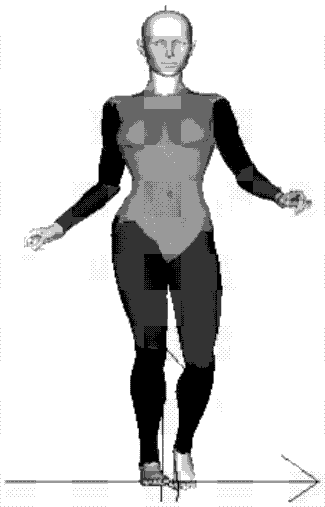 A dynamic clothing simulation method based on human body mixed bounding box