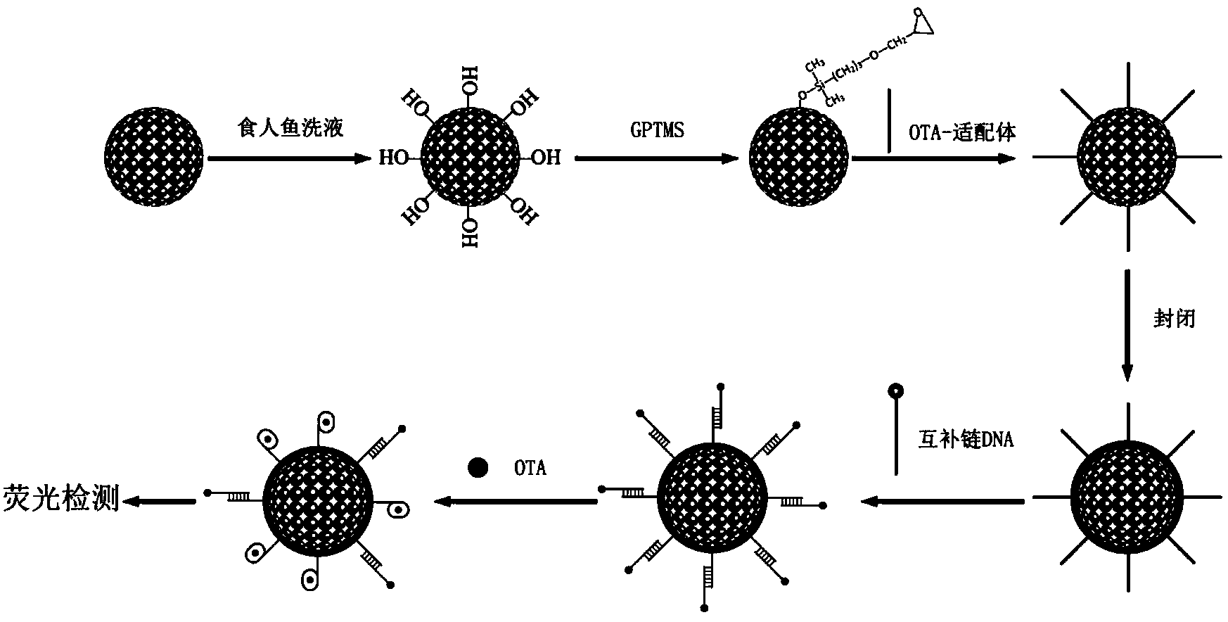 Method for detecting ochratoxin A