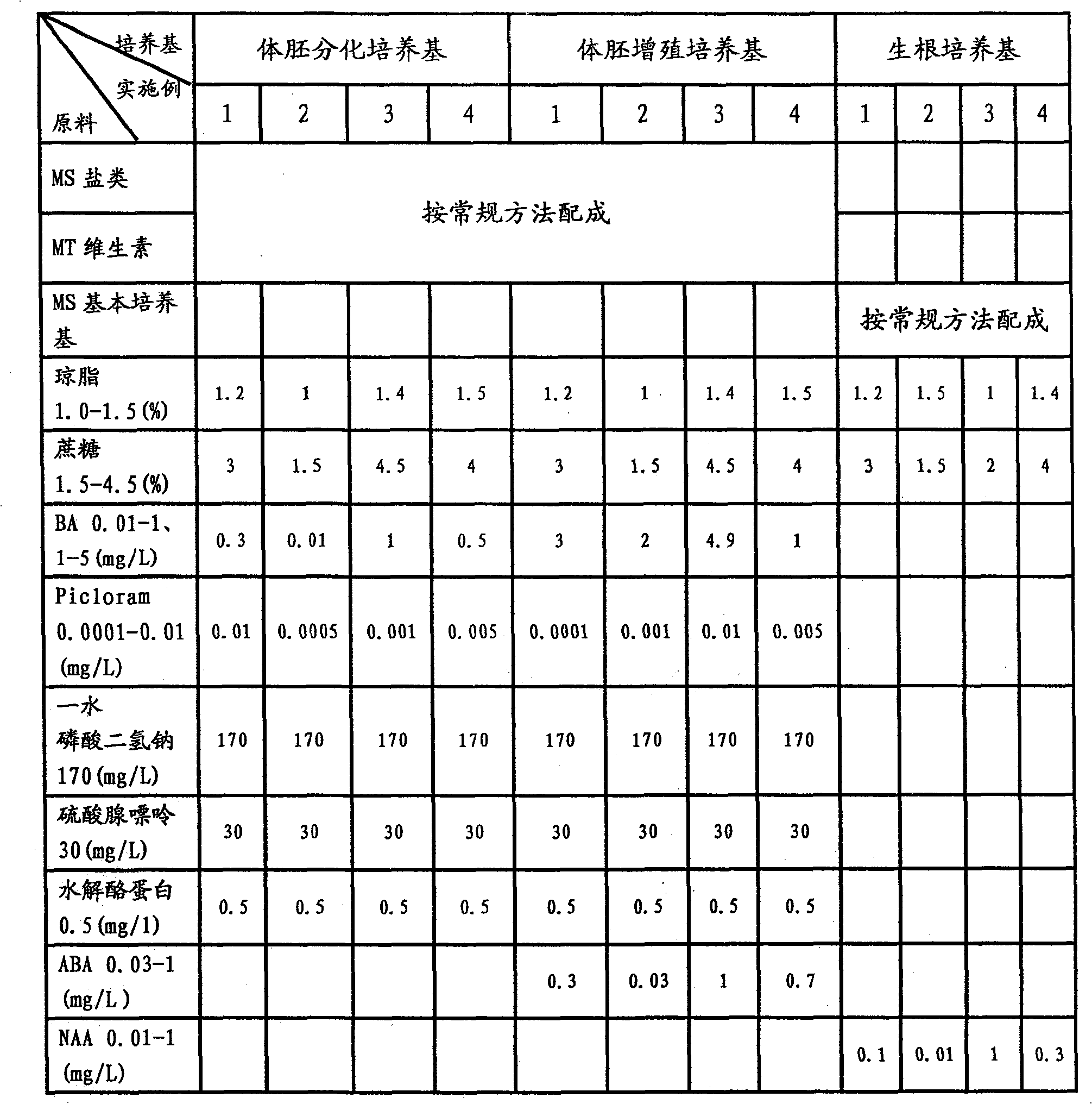 Cinnamomum kanahirai hay body embryo culture medium and tissue culture rapid propagation method