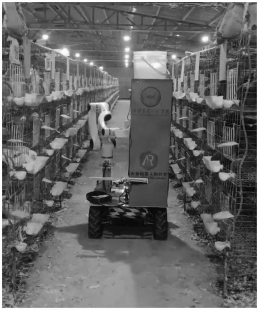 Meat pigeon precise feeding method based on mixed deep neural network