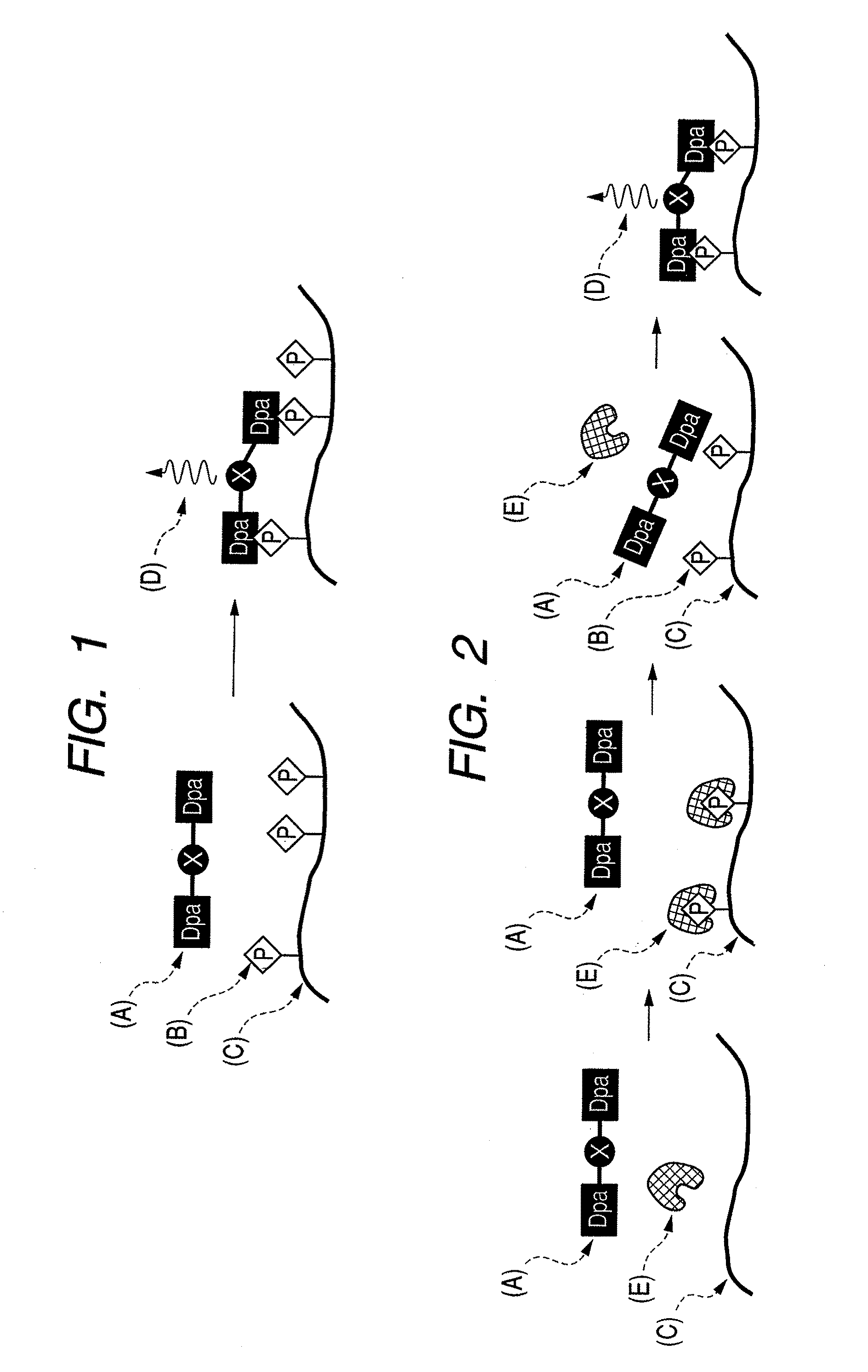 Multisite phosphorylated peptide (protein) recognizing compound and detection method, imaging method, alzheimer's disease diagnosing method and reagent kit using the same