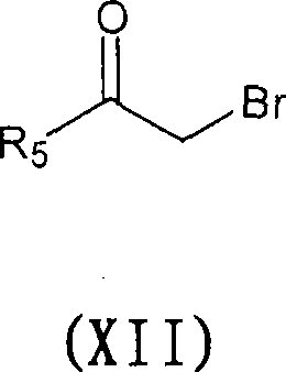 1H-quinolin-4-one compounds, with affinity for the GABA receptor, processes, uses and compositions