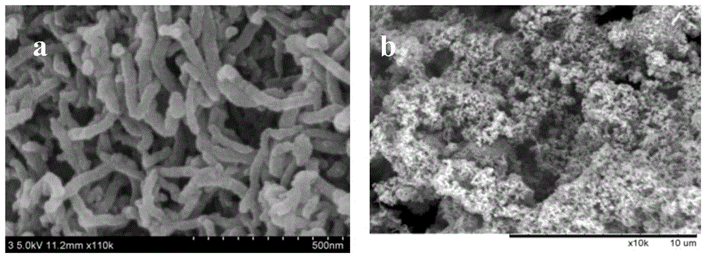 A kind of preparation method of composite cotton fabric electrode for flexible supercapacitor