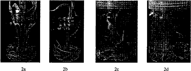 Rooting method of transgenic regenerated seedlings of super-sweet corn