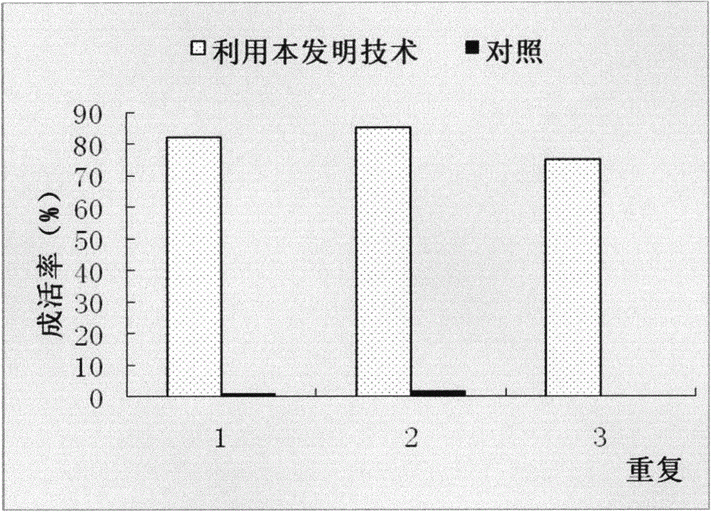 Method for promoting grassiness to overwinter in situ at Jiangsu coastal mud flat
