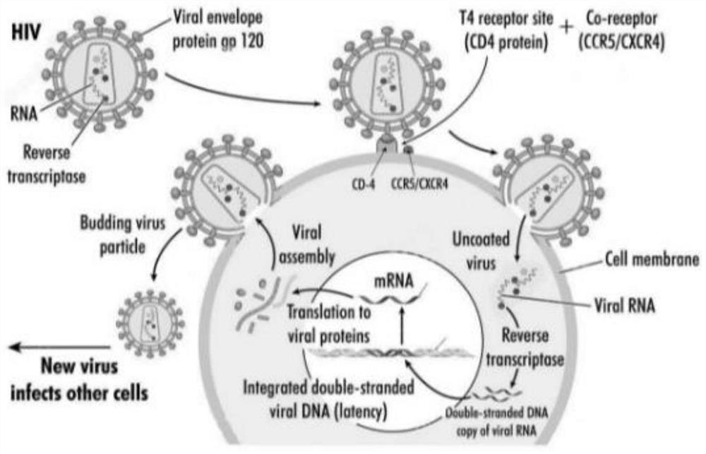 A method for site-specific editing of ccr5 gene