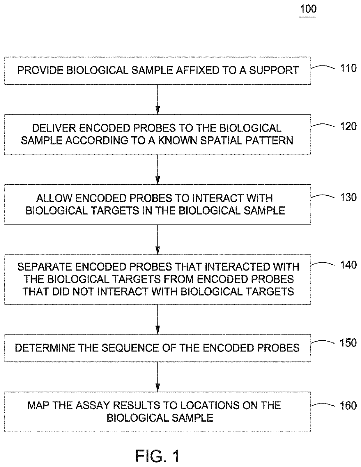 Spatially Encoded Biological Assays