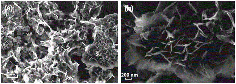 Preparation method of nano ZnO/graphene composite material