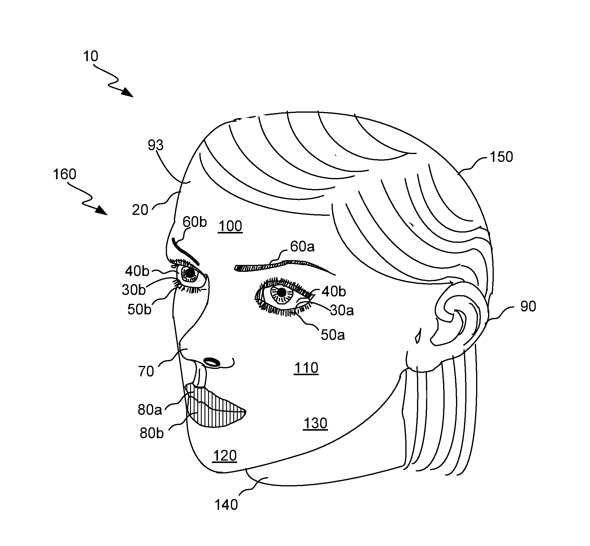 Doll head having a magnetically adjustable facial contour and method of assembling same