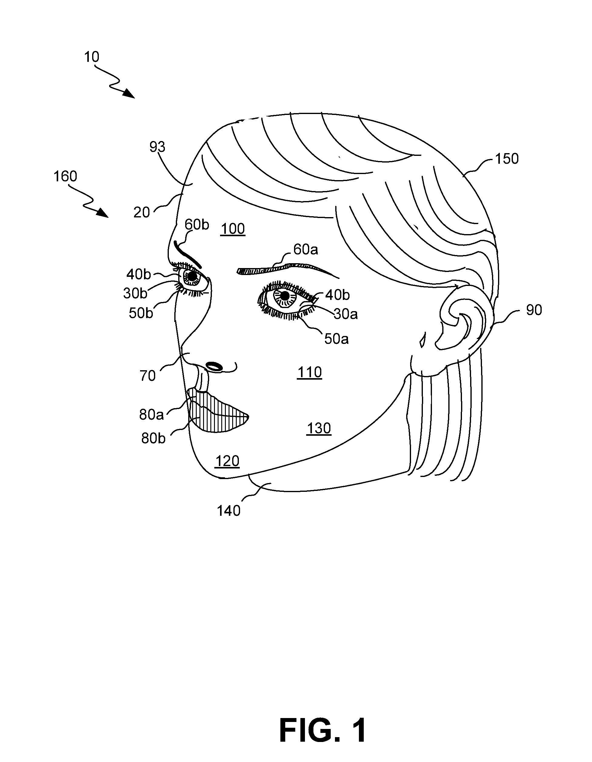 Doll head having a magnetically adjustable facial contour and method of assembling same