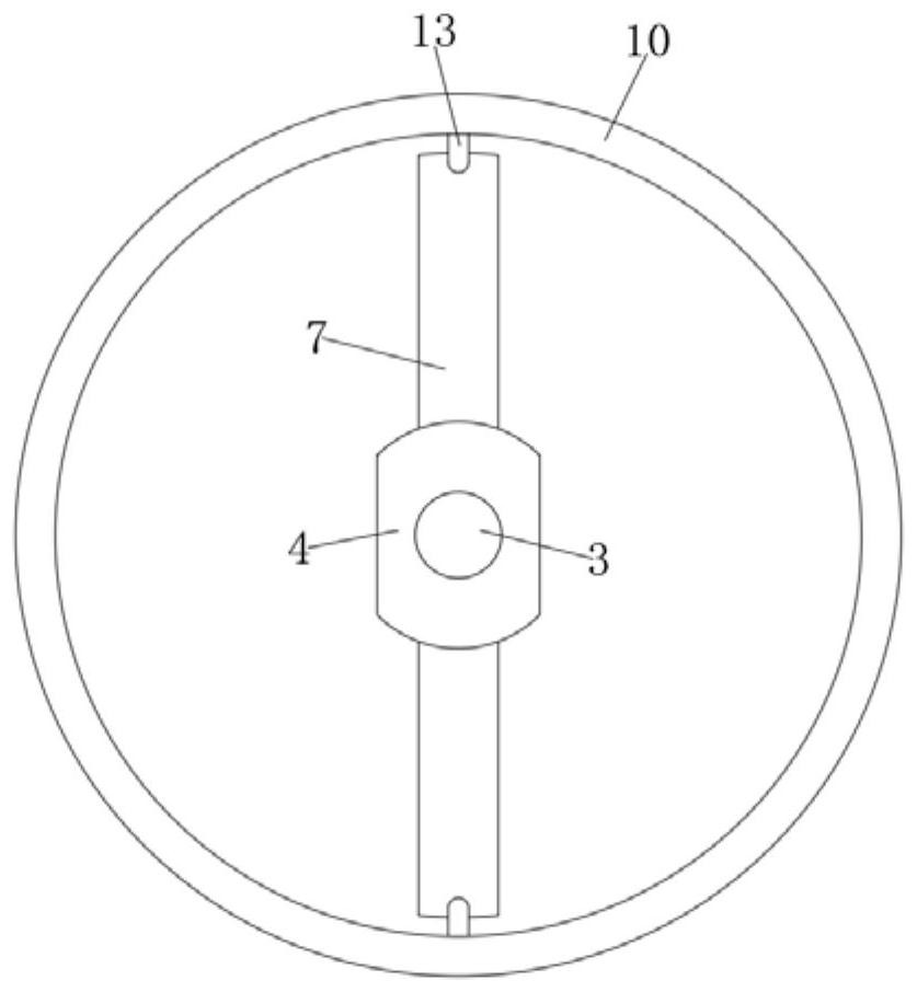 A kind of slicer for preparing Chinese herbal medicine pieces