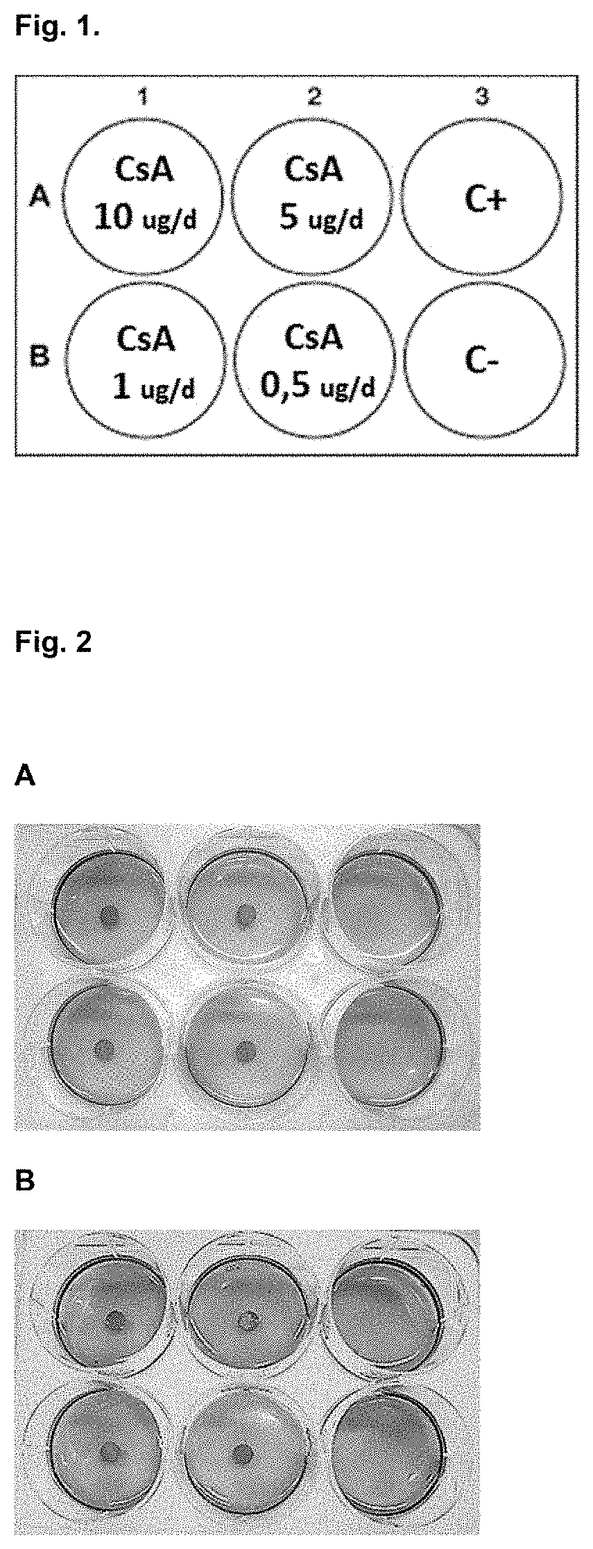 Method for predicting and monitoring clinical response to immunomodulatory therapy