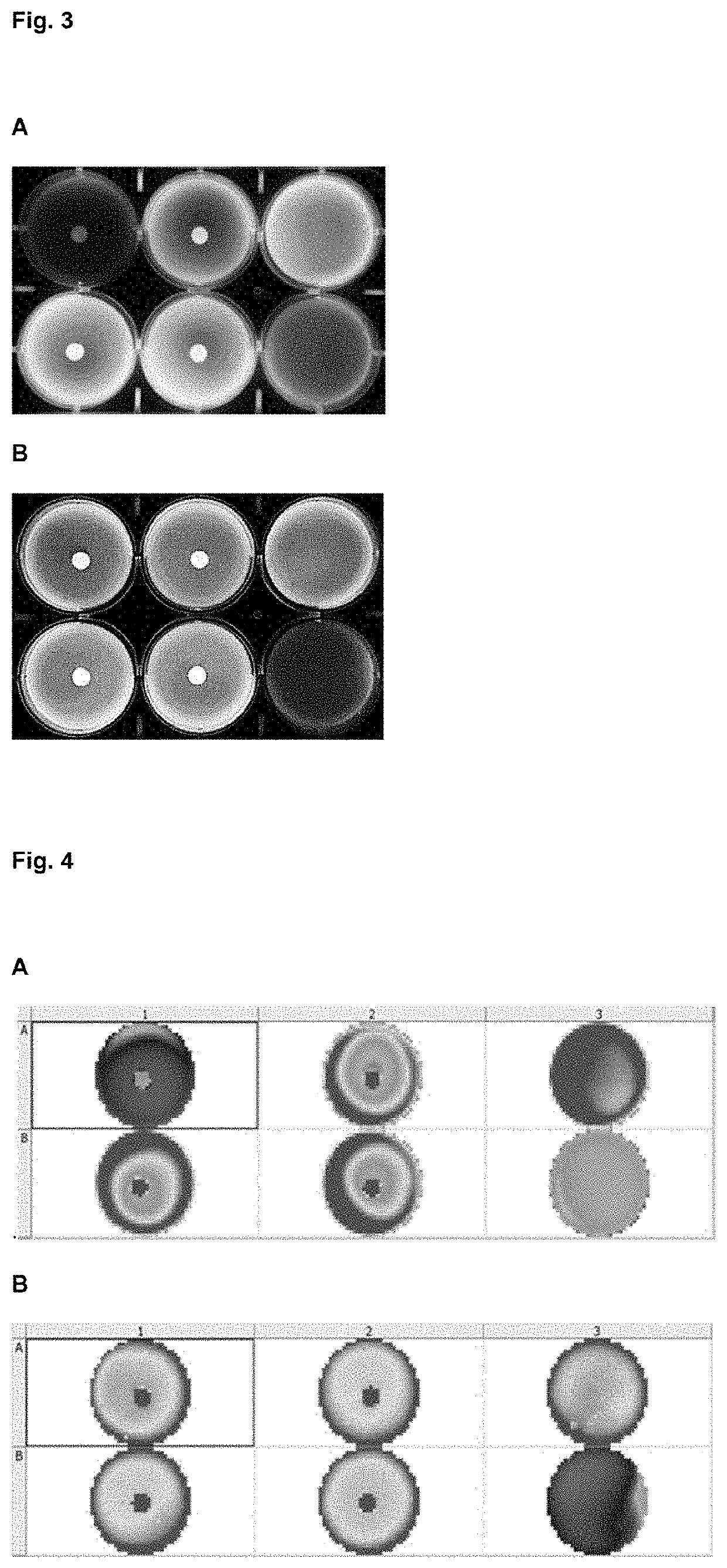 Method for predicting and monitoring clinical response to immunomodulatory therapy