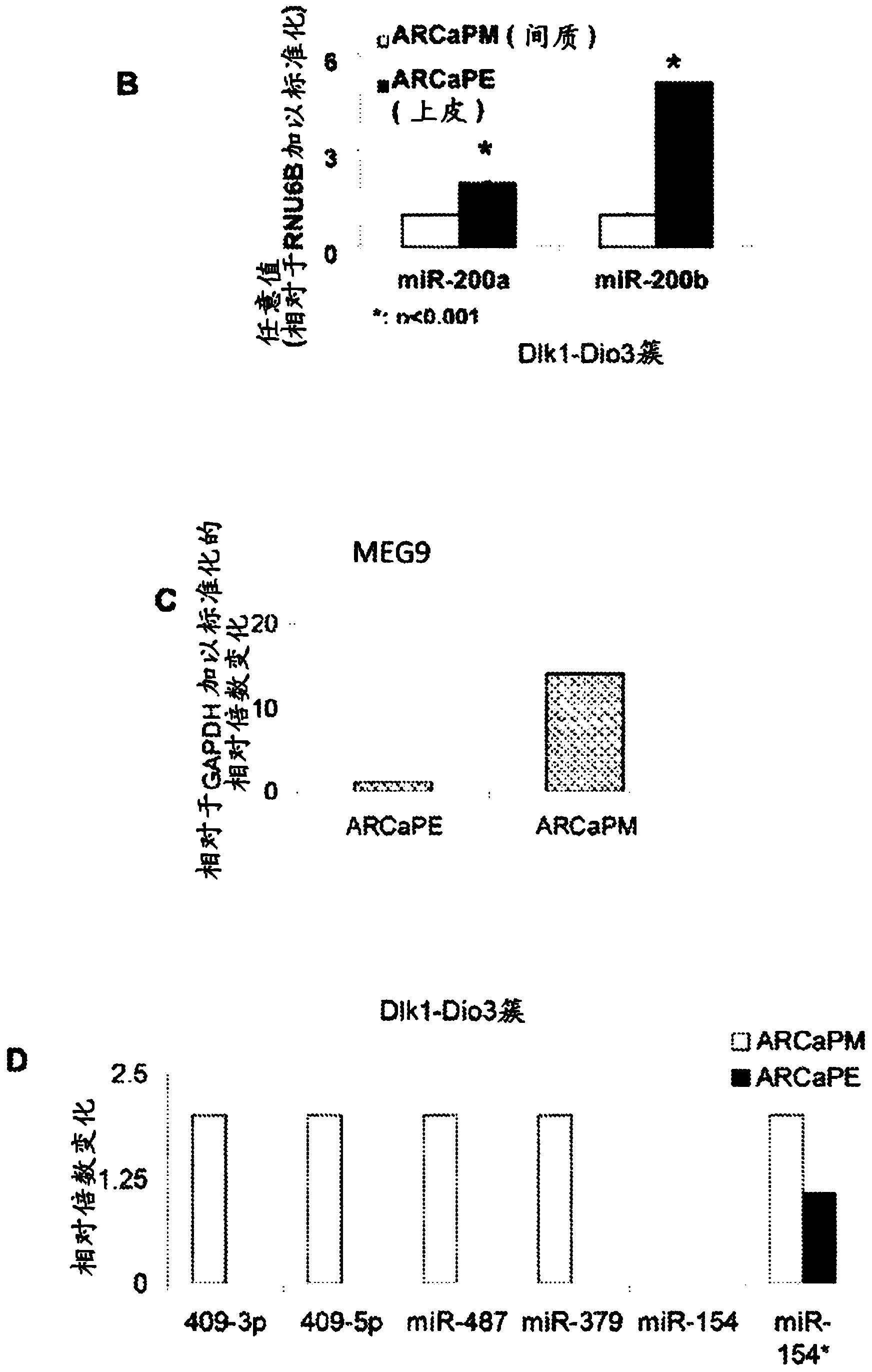 Targeting micro RNAS MIR-409-5P, MIR-379 AND MIR-154* to treat prostate cancer bone metastasis and drug resistant lung cancer