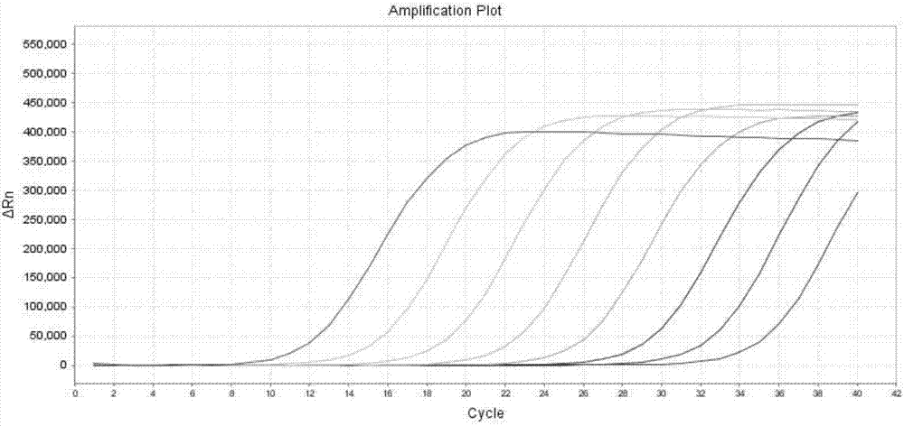 Kit for detecting PIK3CA gene mutation of colorectal cancer patient